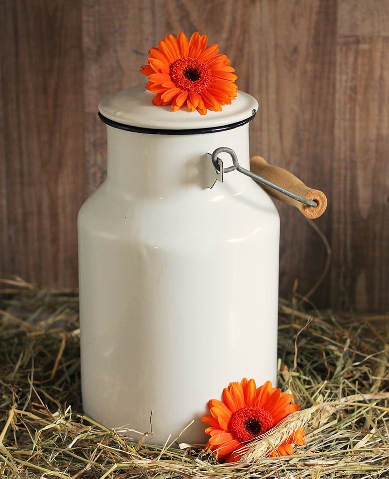 Upcycled Glass Bottles